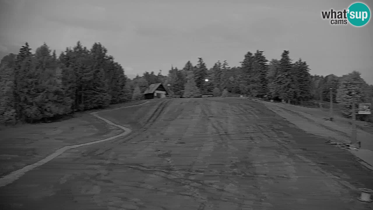 Pohorje Webcam | Sleme Talstation