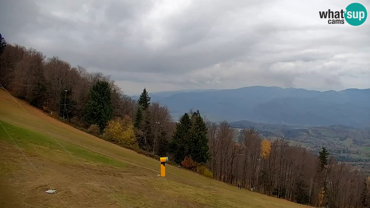 Pohorje Webcam | Sleme Talstation