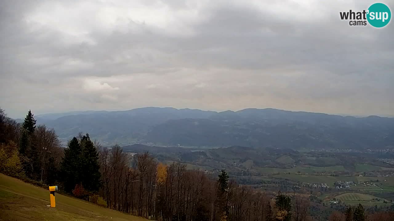 Webcam Pohorje | Station Sleme