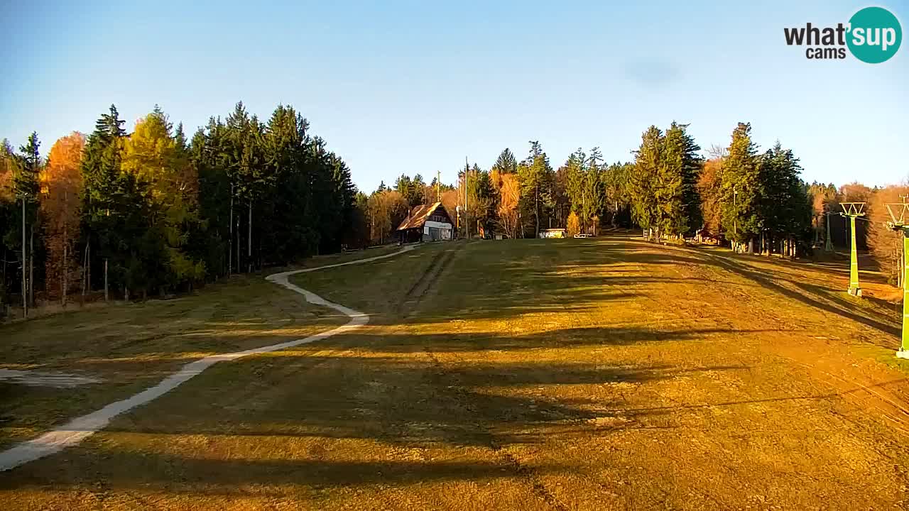 Webcam Pohorje | Stazione Inferiore Sleme