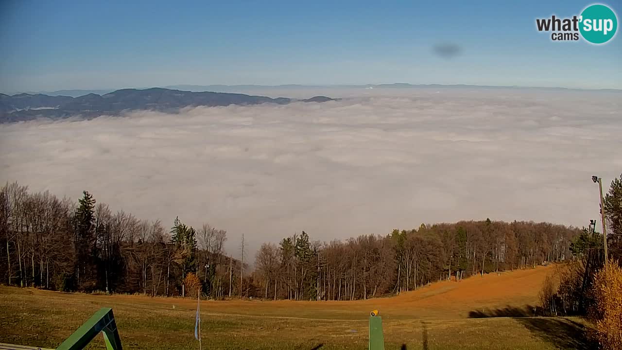 Webcam Pohorje | Stazione Inferiore Sleme