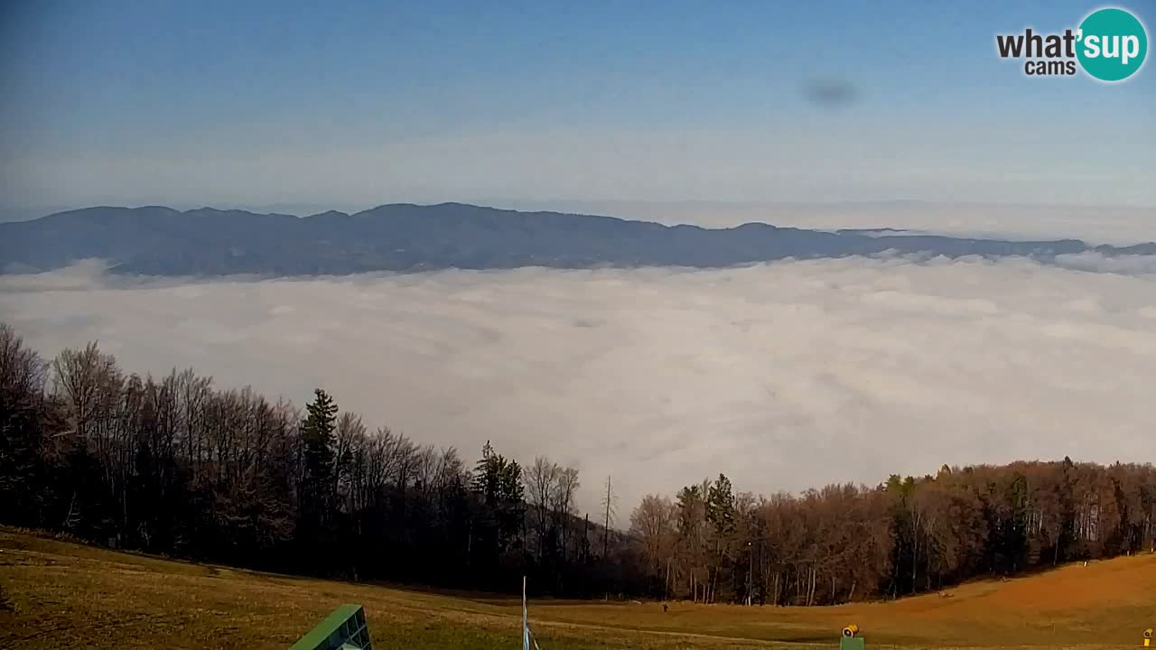 Webcam Pohorje | Stazione Inferiore Sleme