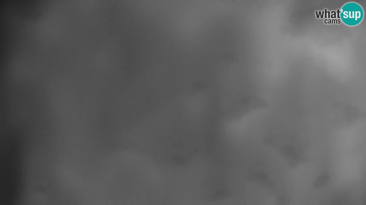 Pohorje webcam | Sleme lower station