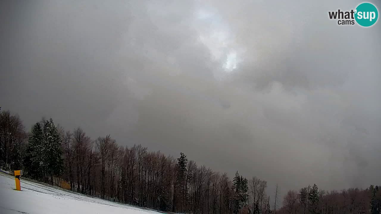 Webcam Pohorje | Station Sleme