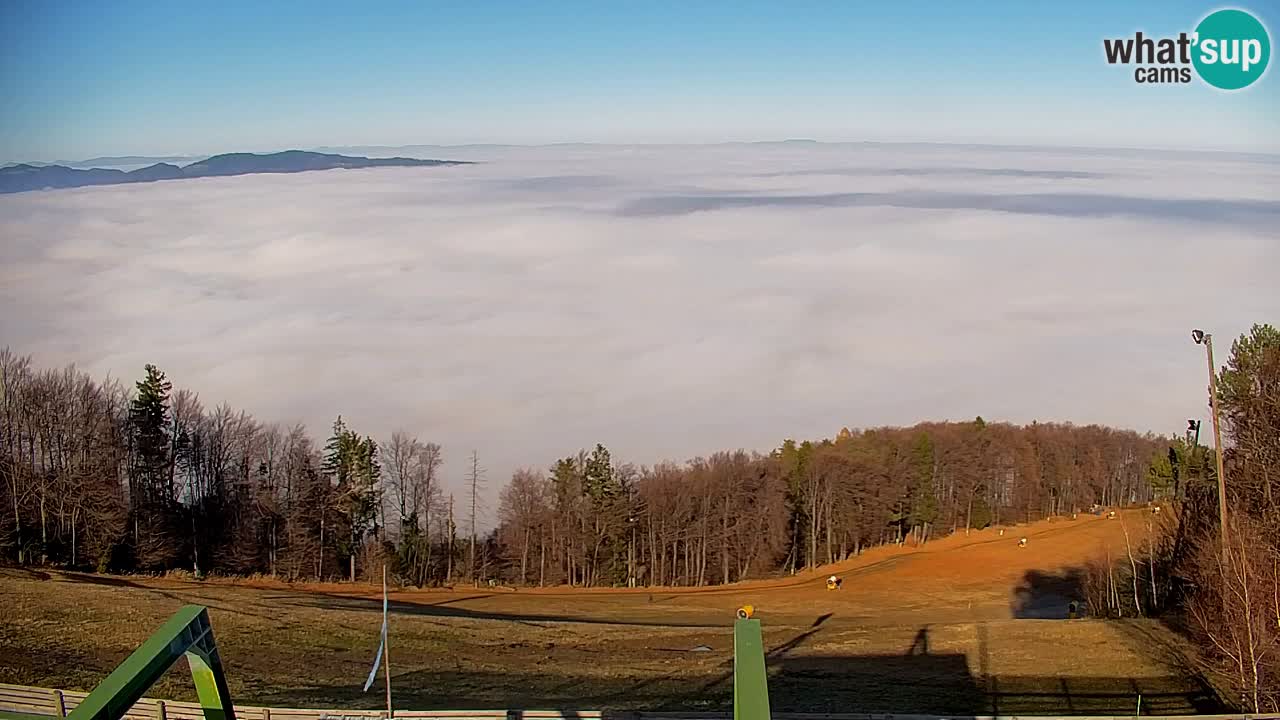 Webcam Pohorje | Station Sleme