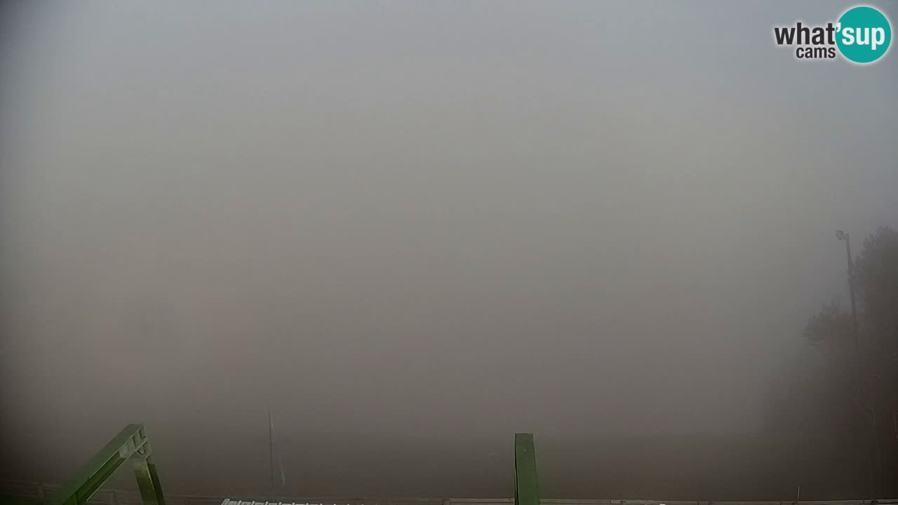 Pohorje Webcam | Sleme Talstation