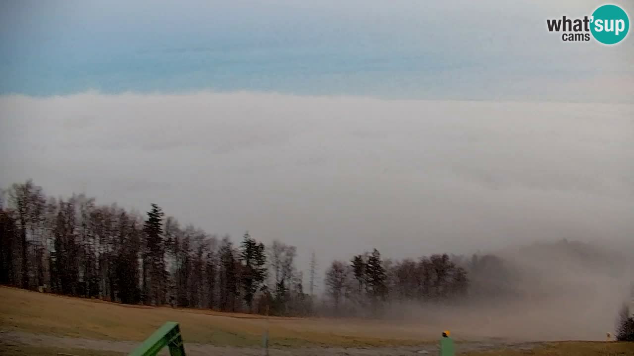 Webcam Pohorje | Station Sleme