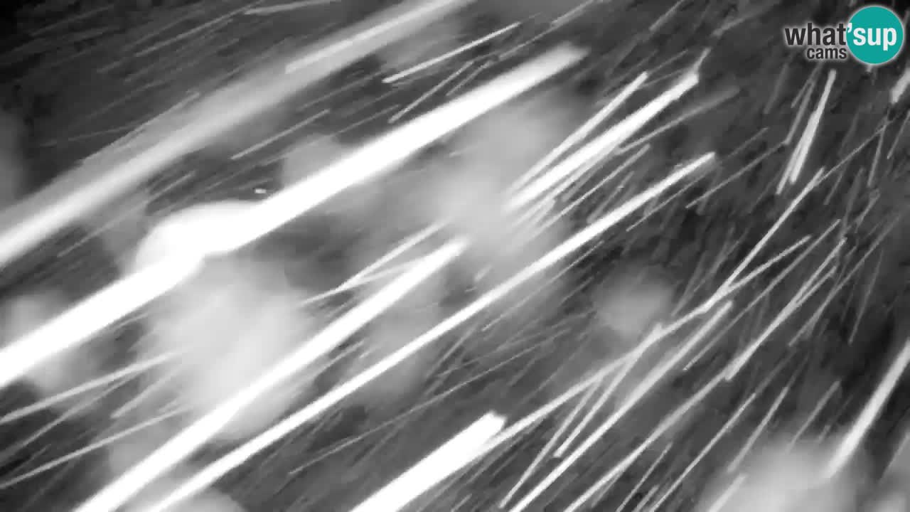 Pohorje Webcam | Sleme Talstation