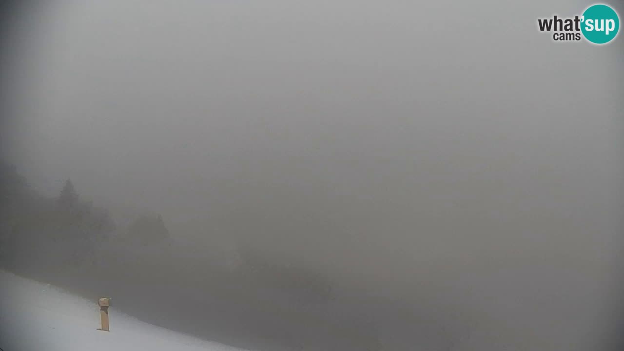 Pohorje Webcam | Sleme Talstation