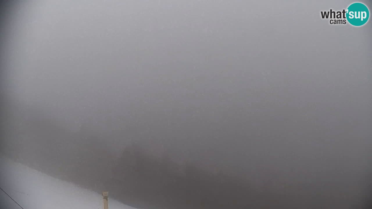 Webcam Pohorje | Stazione Inferiore Sleme