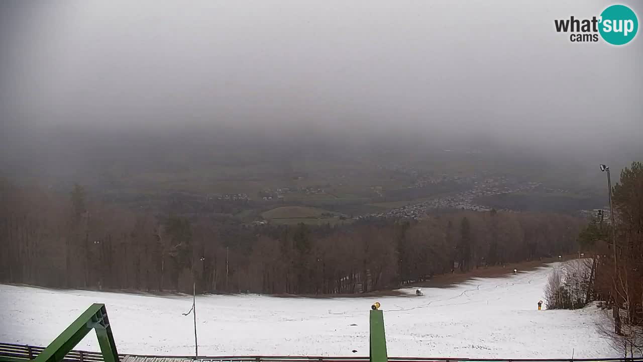 Pohorje Webcam | Sleme Talstation