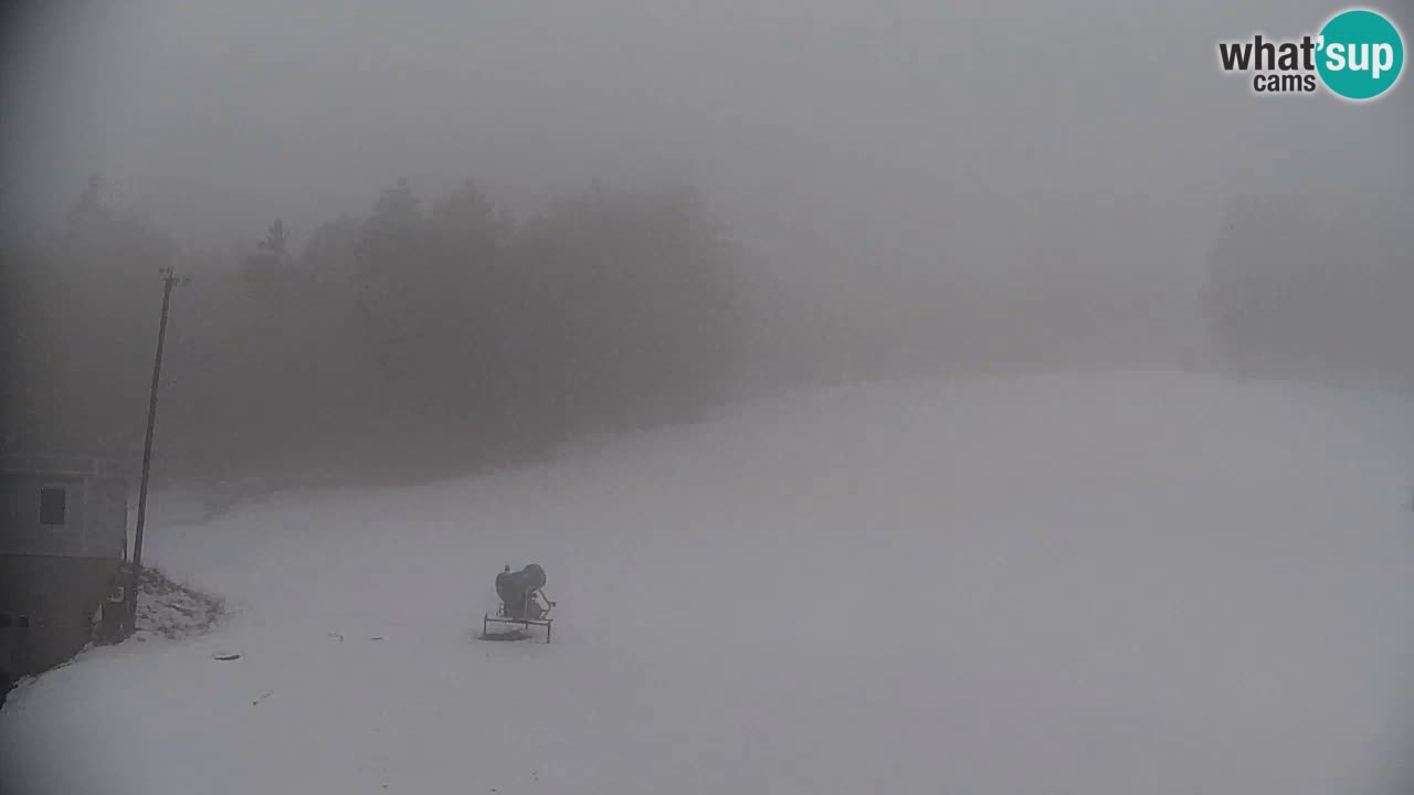 Pohorje webcam | Sleme lower station