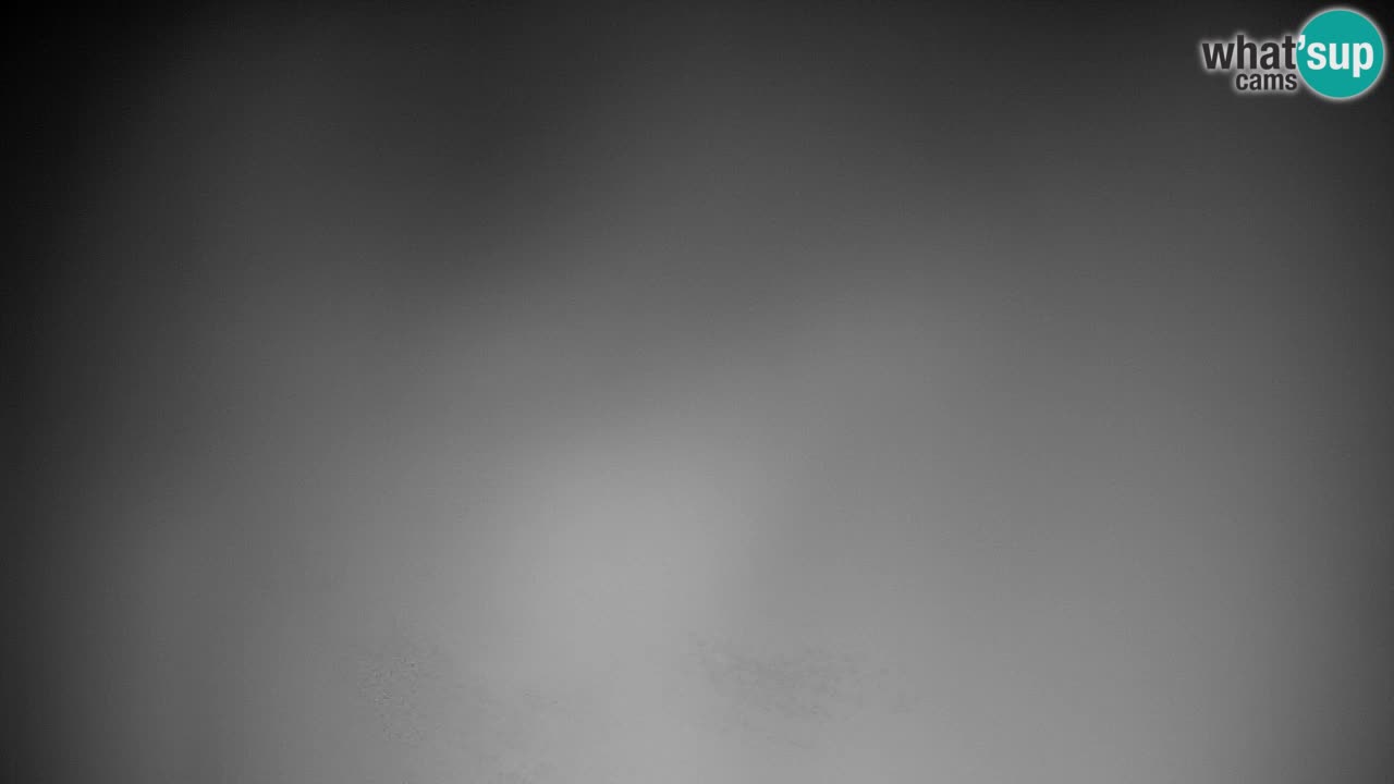 Pohorje Webcam | Sleme Talstation