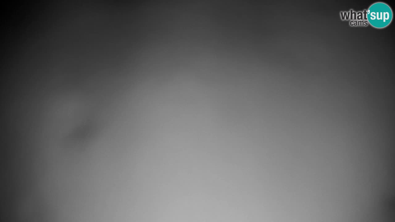 Webcam Pohorje | Station Sleme