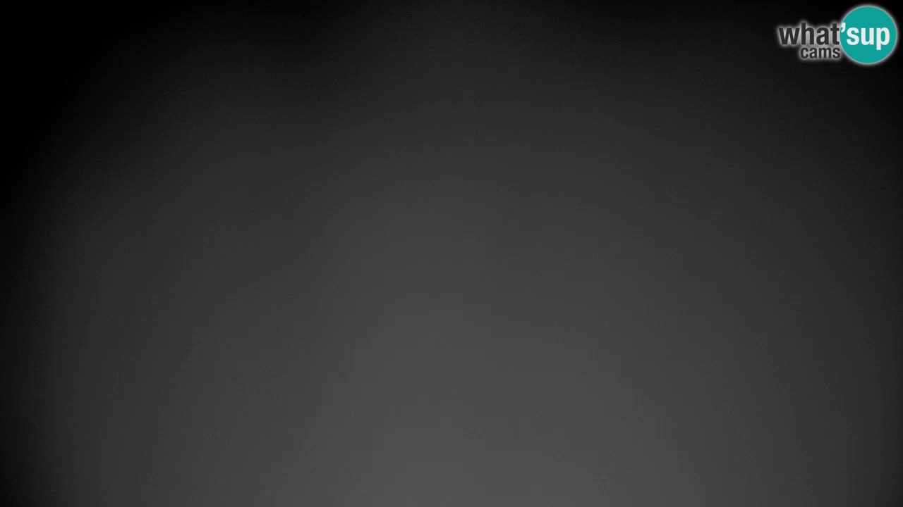 Webcam Pohorje | Station Sleme