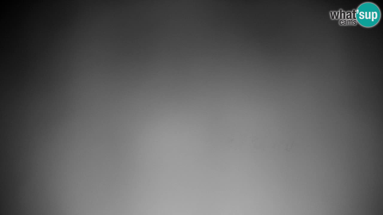 Webcam Pohorje | Station Sleme