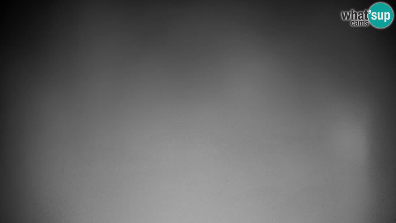 Webcam Pohorje | Station Sleme