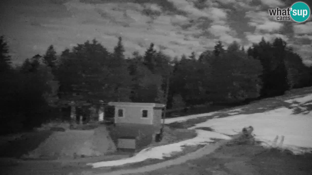 Pohorje spletna kamera | Spodnja postaja Sleme