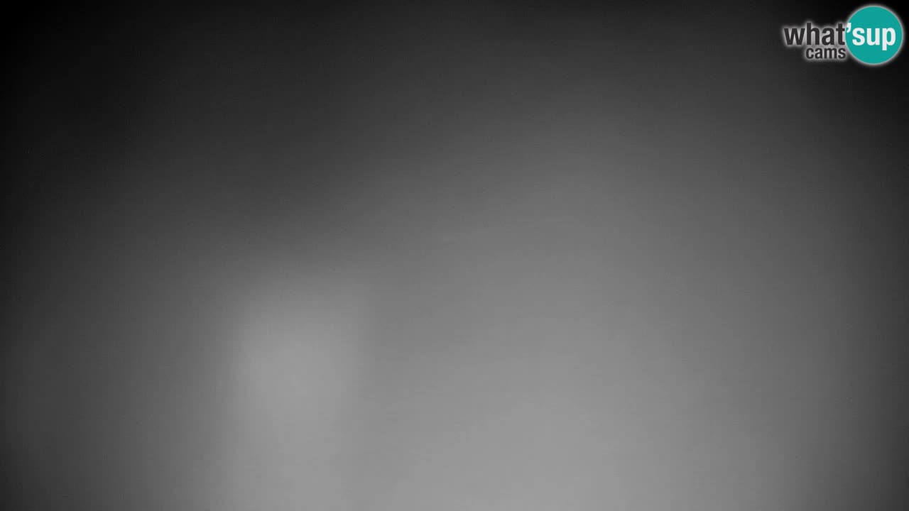 Pohorje Webcam | Sleme Talstation