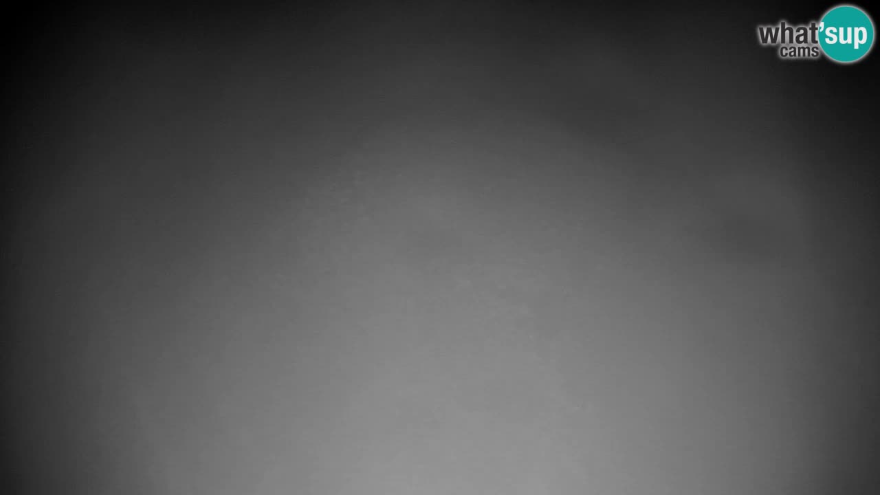 Pohorje Webcam | Sleme Talstation