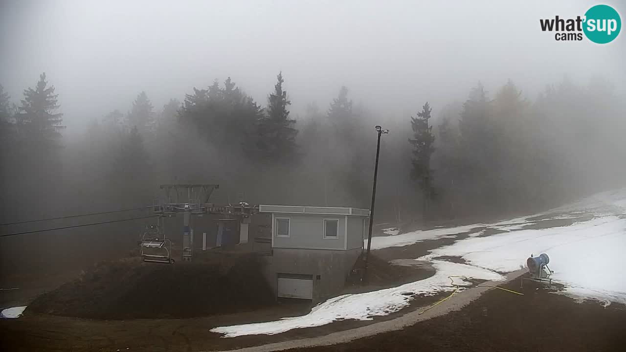 Webcam Pohorje | Station Sleme