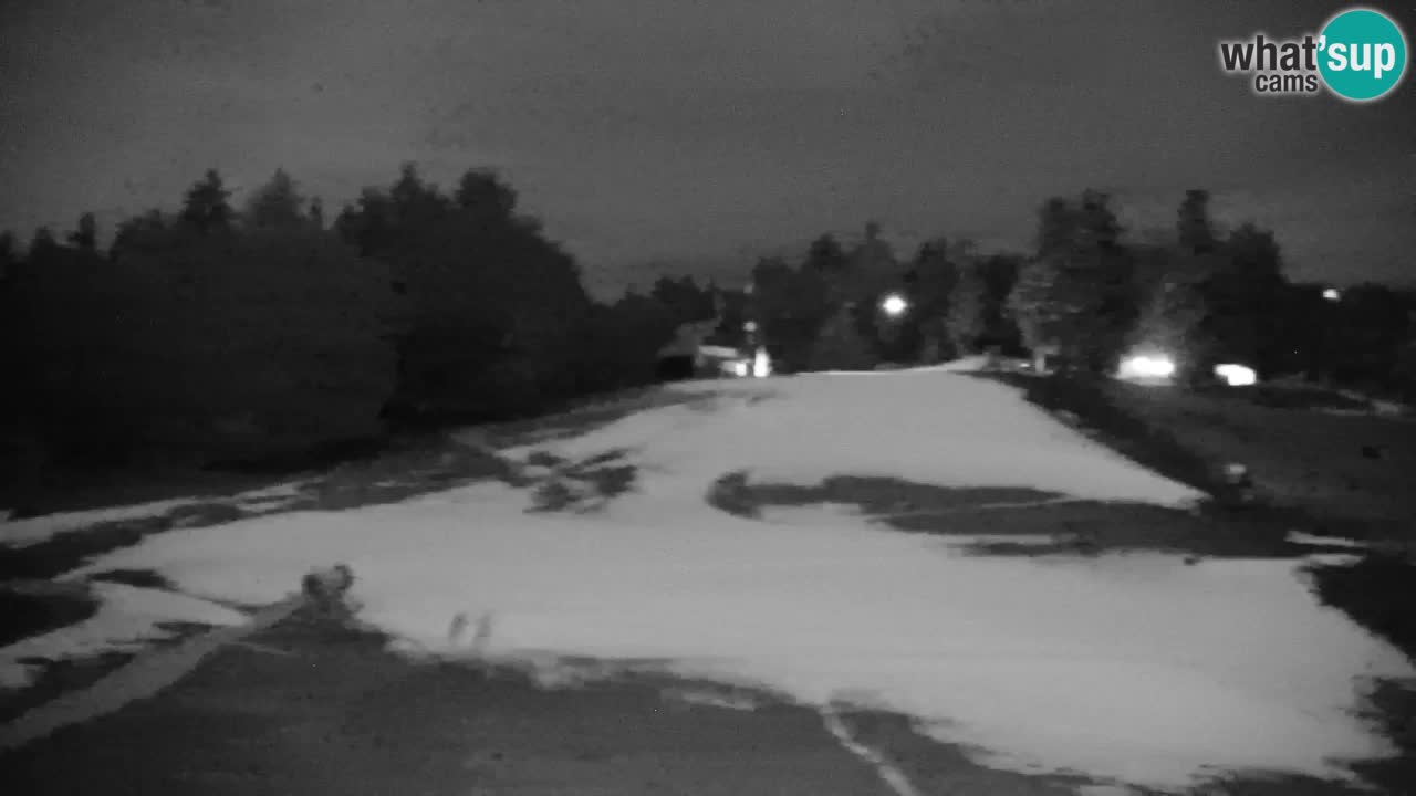 Pohorje Webcam | Sleme Talstation