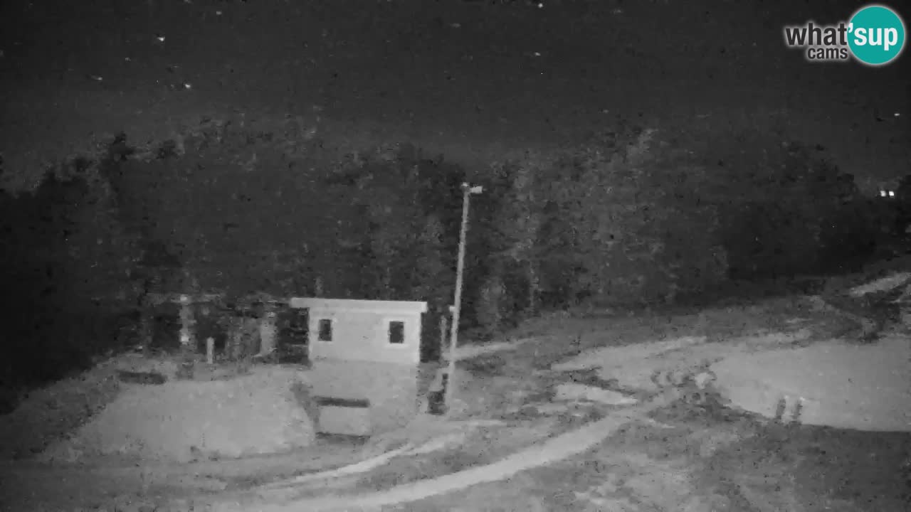 Pohorje Webcam | Sleme Talstation
