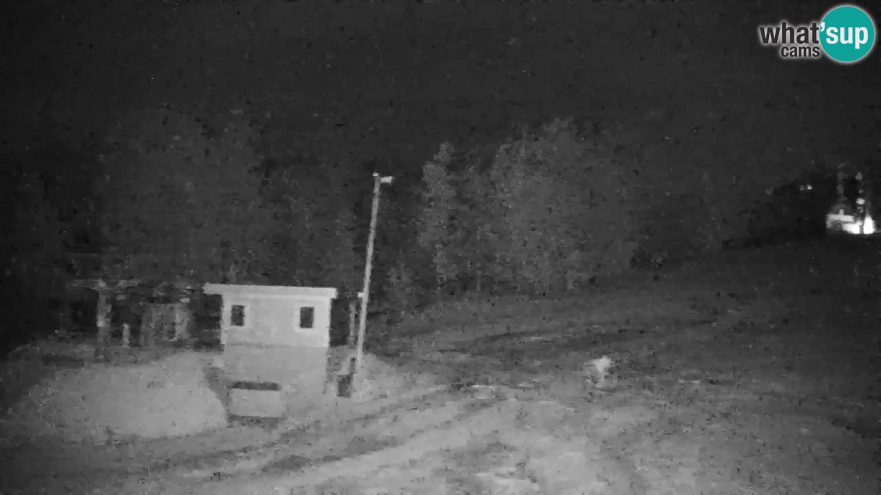 Webcam Pohorje | Station Sleme