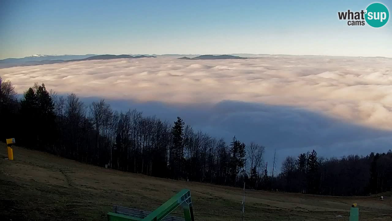Pohorje Webcam | Sleme Talstation