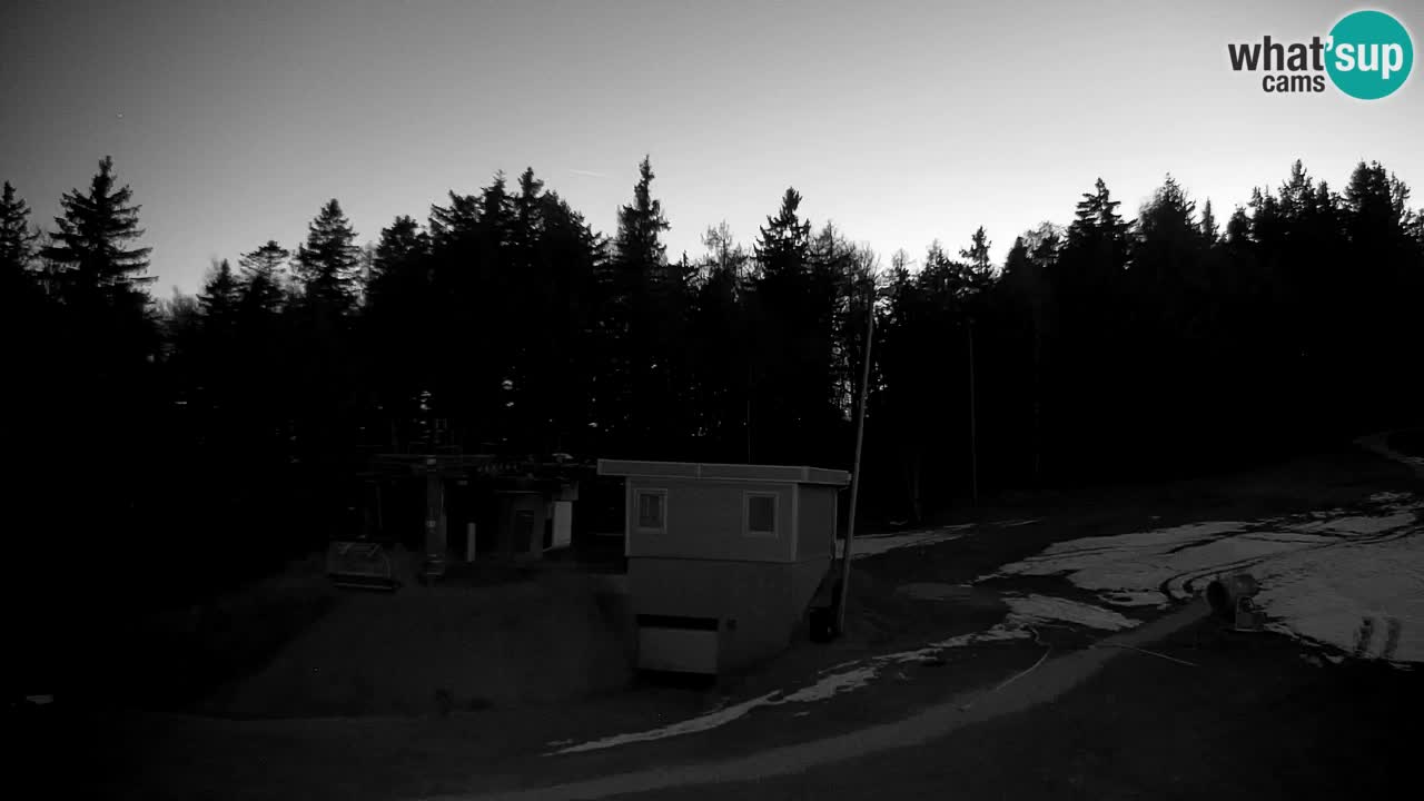 Pohorje Webcam | Sleme Talstation