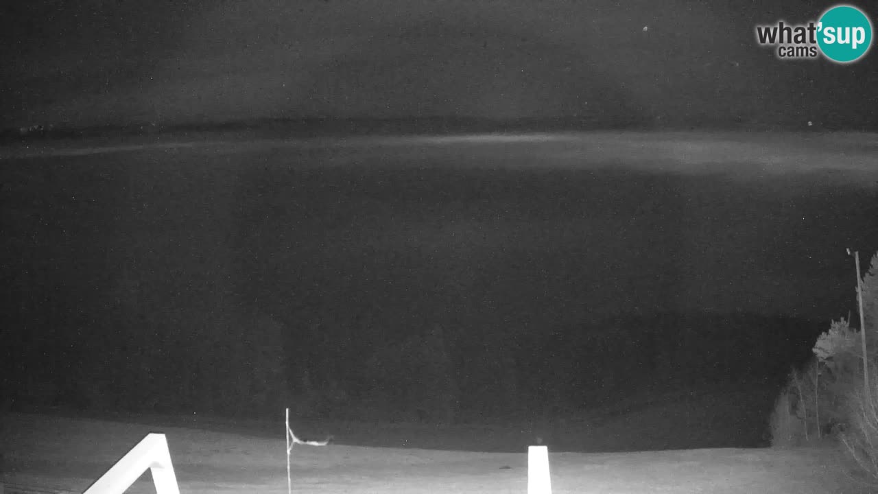 Webcam Pohorje | Station Sleme