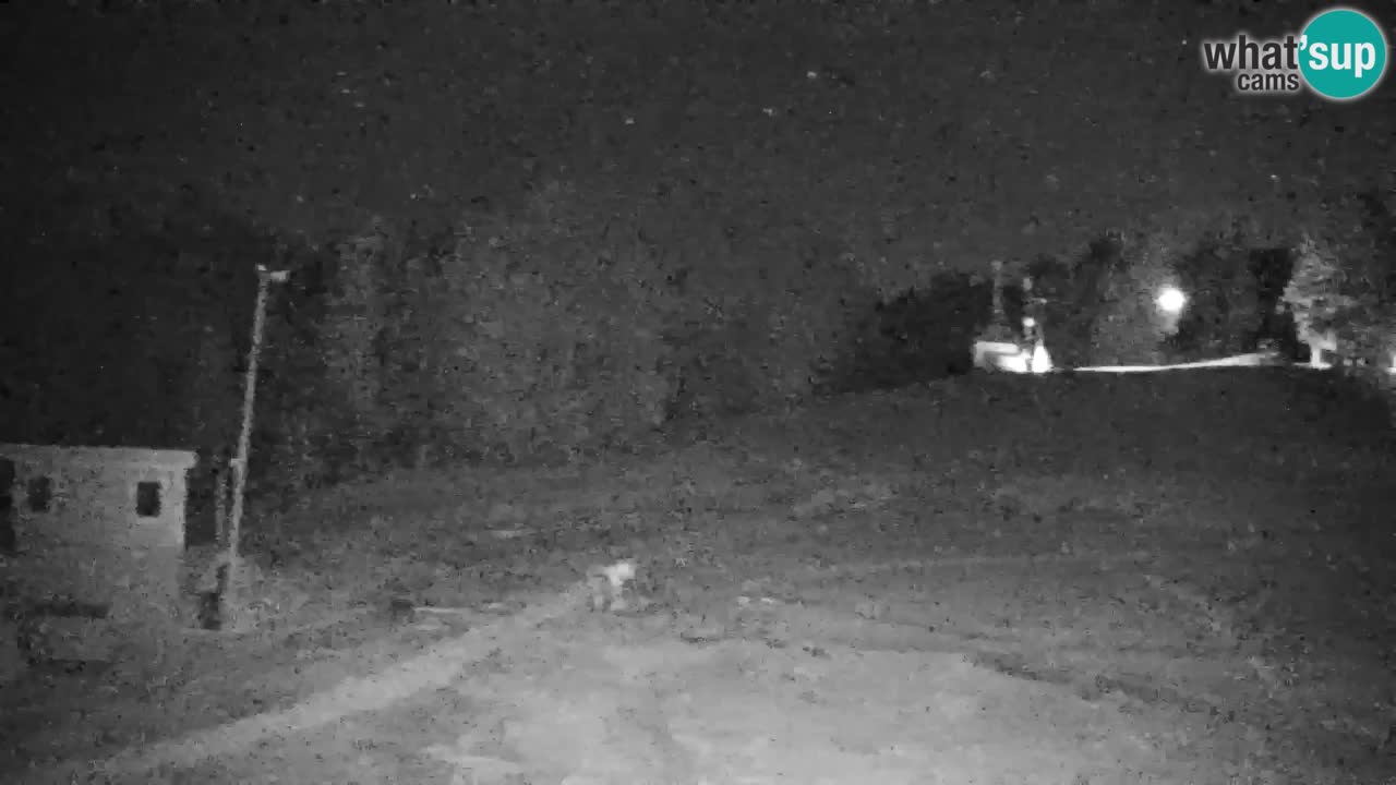 Pohorje webcam | Sleme lower station