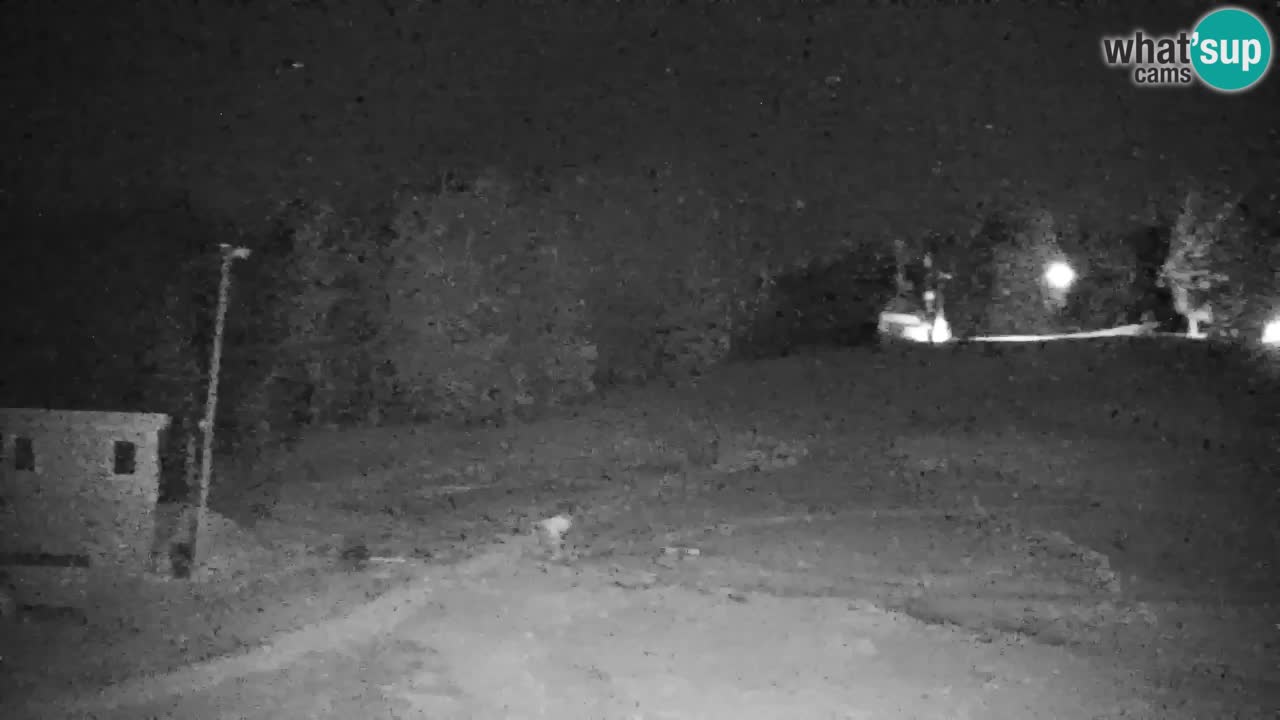 Pohorje spletna kamera | Spodnja postaja Sleme