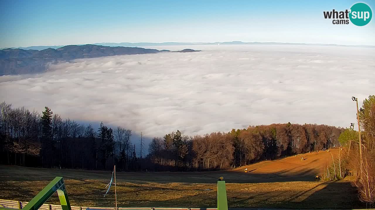 Webcam Pohorje | Station Sleme
