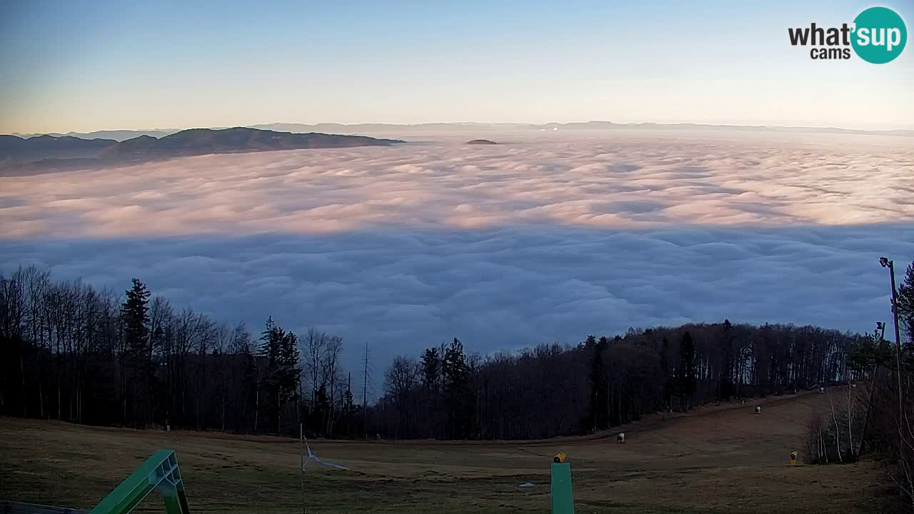 Pohorje Webcam | Sleme Talstation