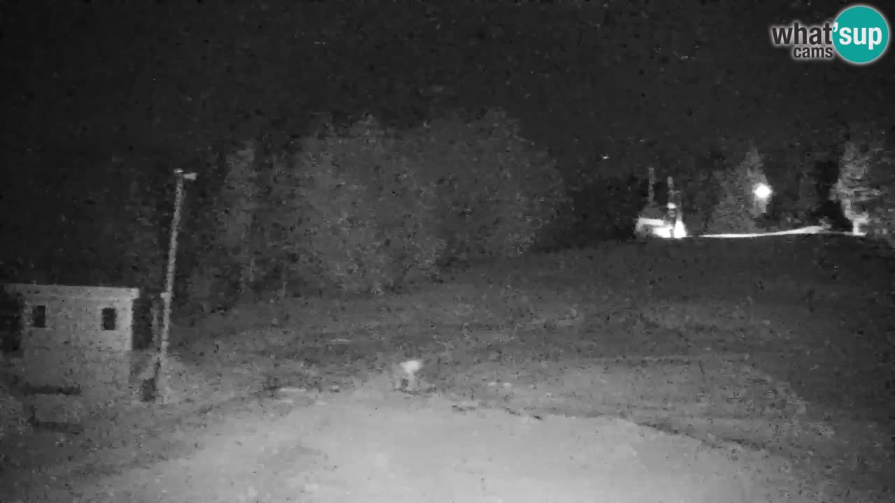 Pohorje spletna kamera | Spodnja postaja Sleme