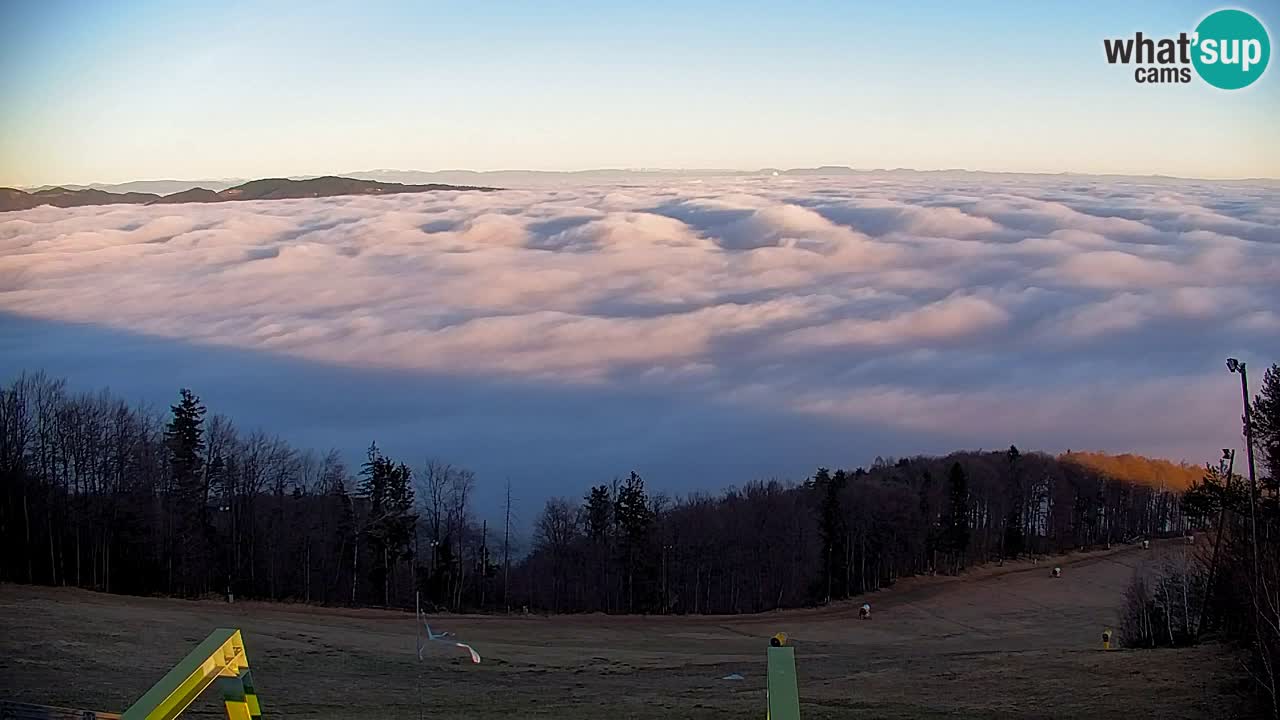 Webcam Pohorje | Station Sleme