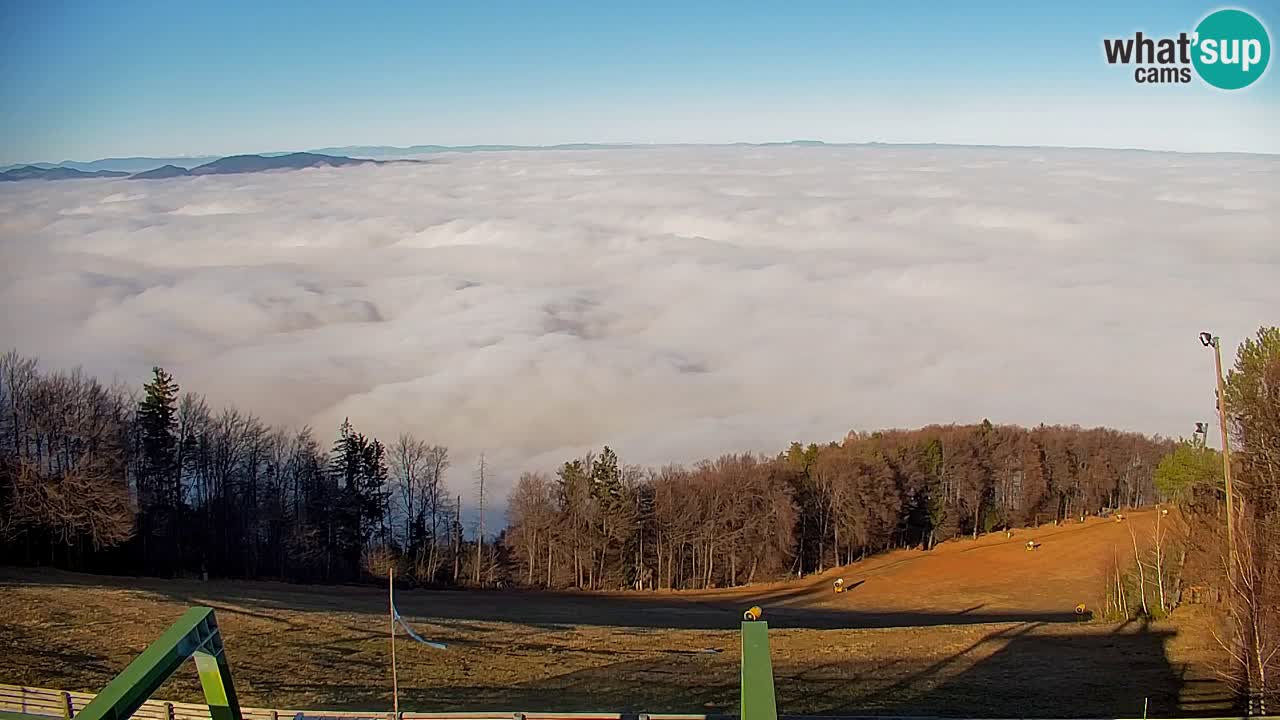 Webcam Pohorje | Station Sleme
