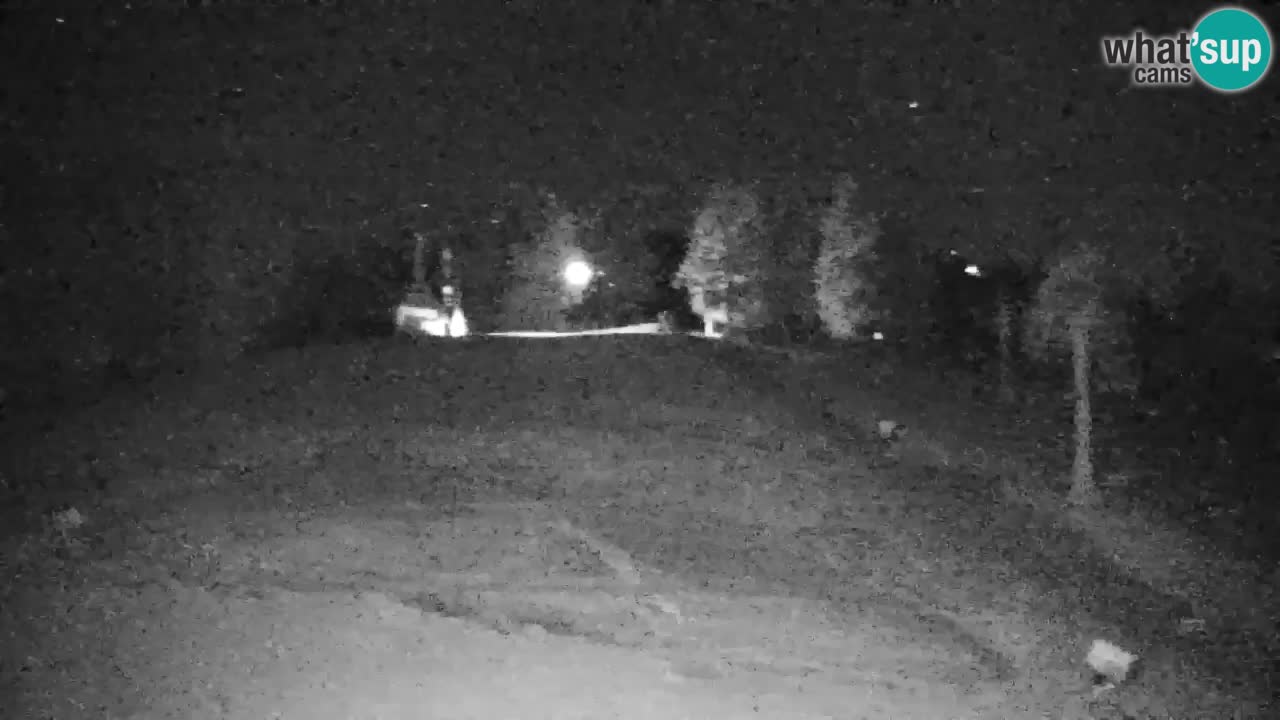 Webcam Pohorje | Station Sleme