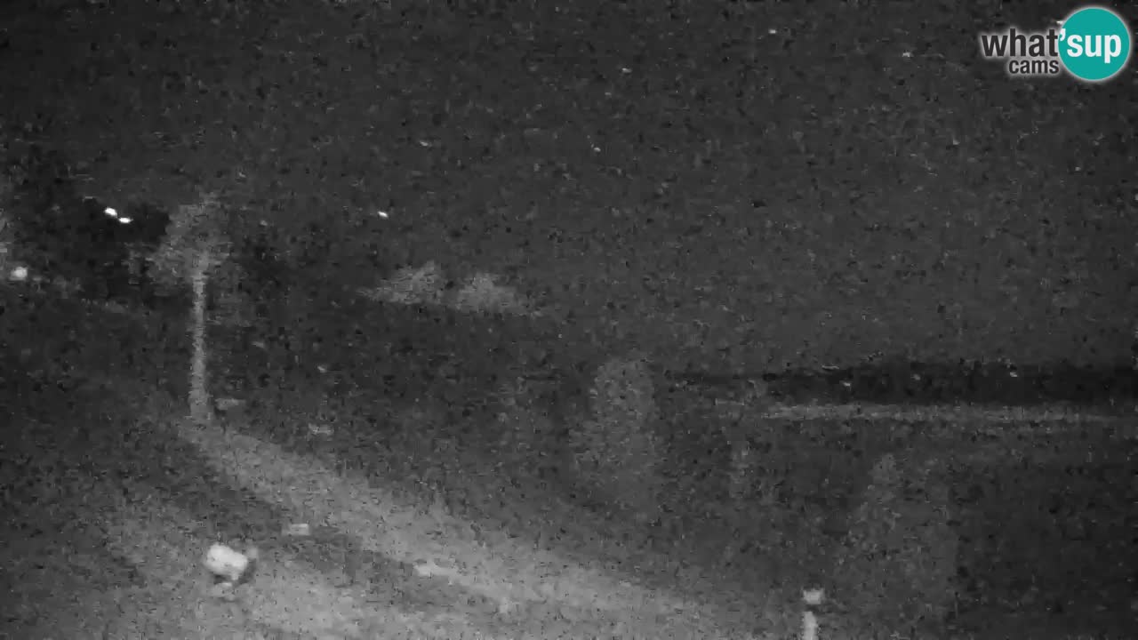 Webcam Pohorje | Station Sleme