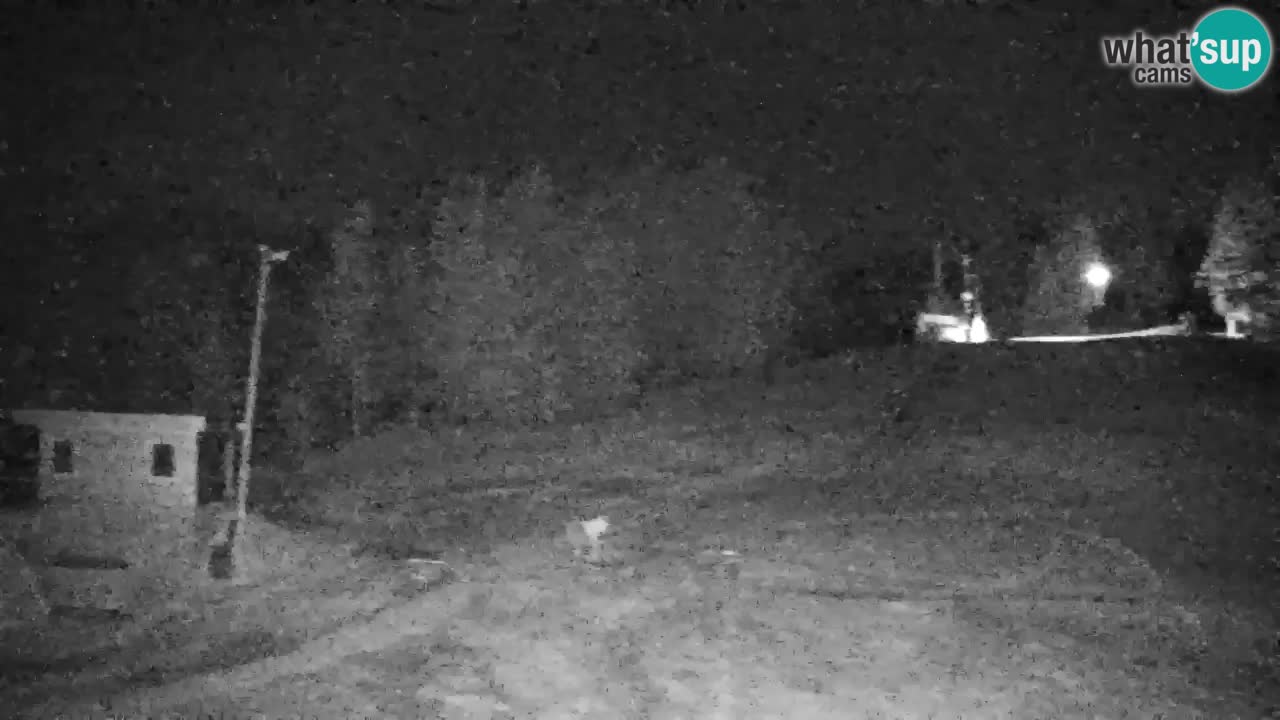 Pohorje webcam | Sleme lower station