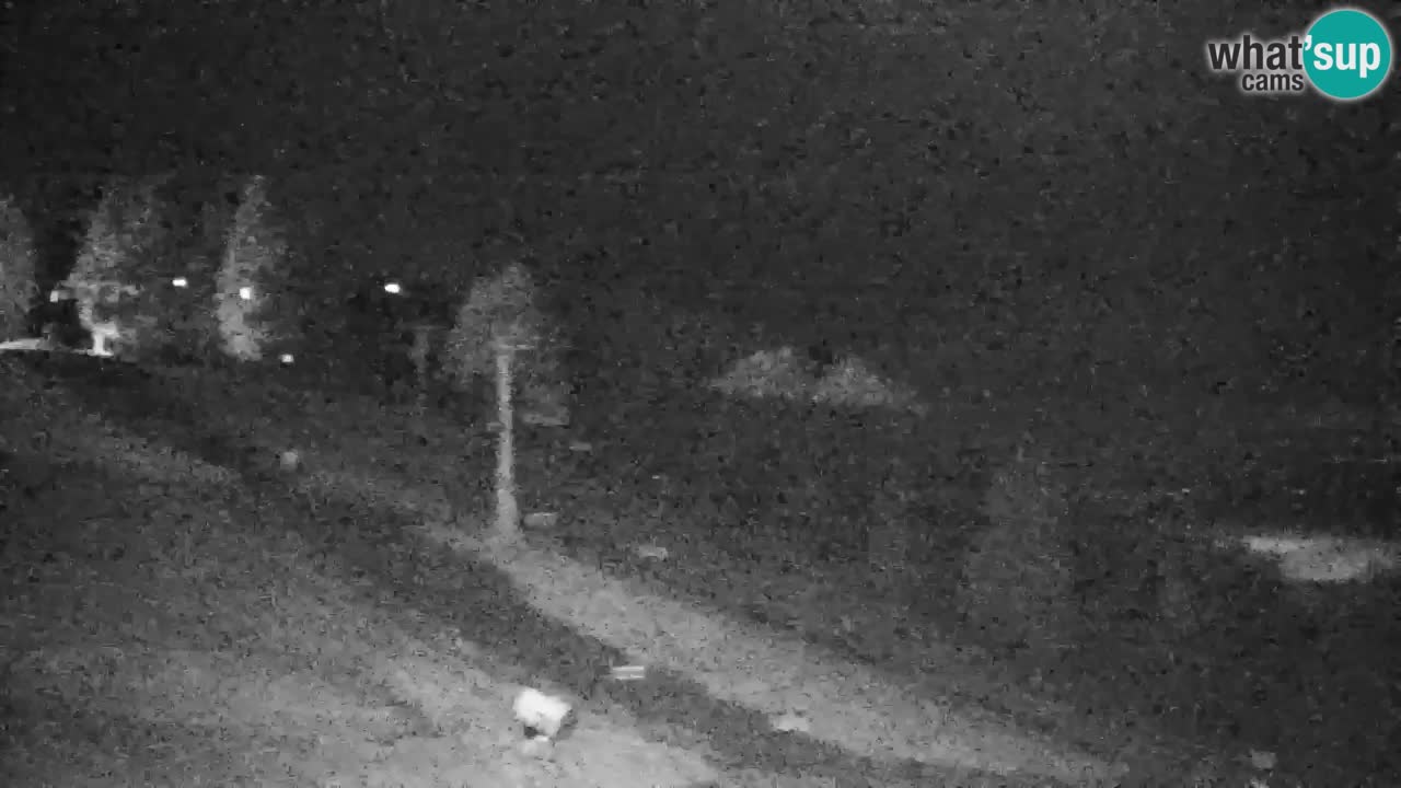 Webcam Pohorje | Estación Inferior de Sleme