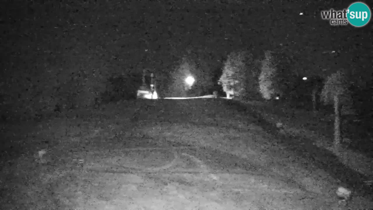 Pohorje Webcam | Sleme Talstation