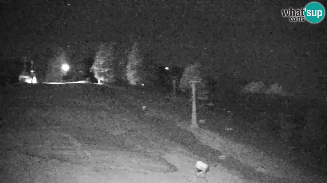 Pohorje webcam | Sleme lower station