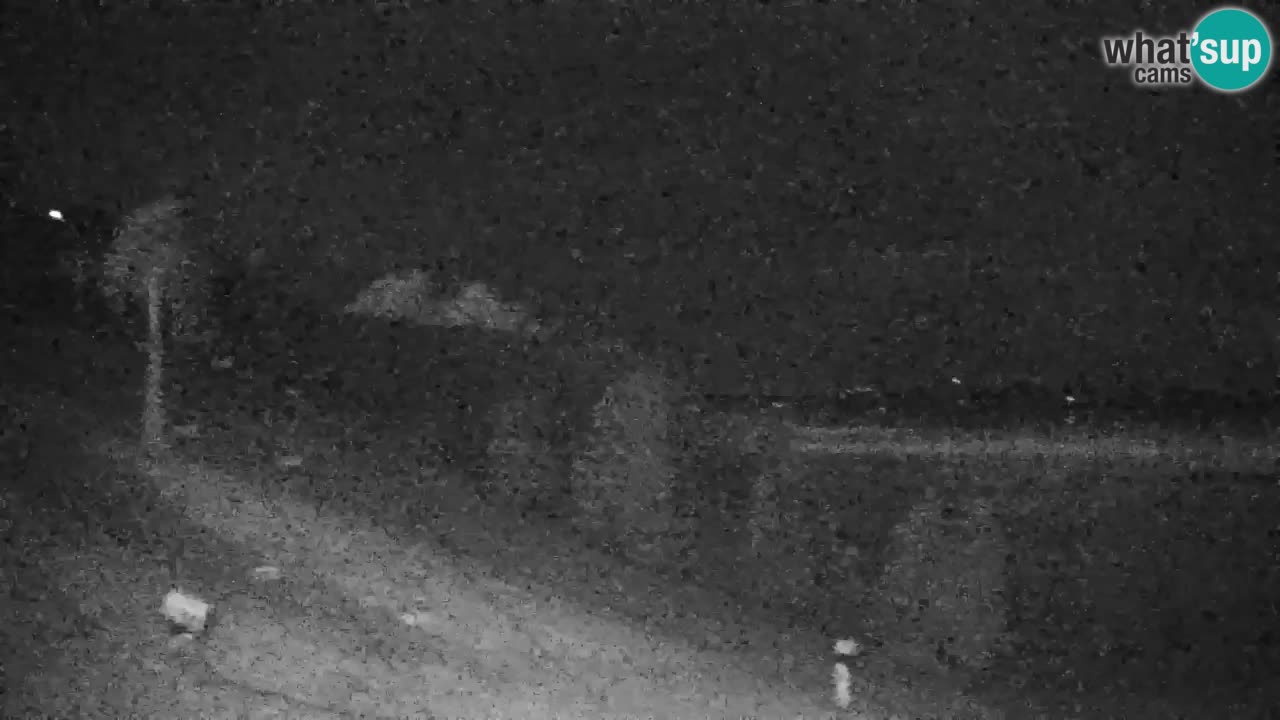 Webcam Pohorje | Station Sleme