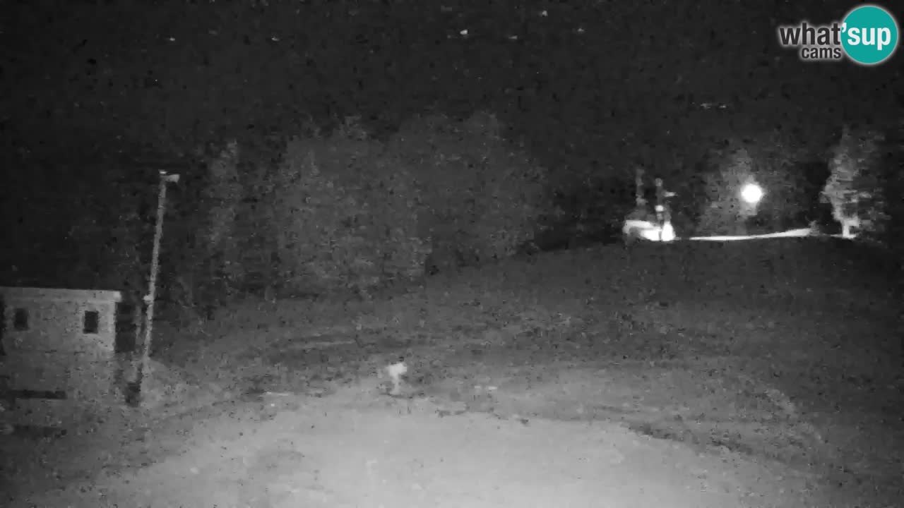 Webcam Pohorje | Station Sleme