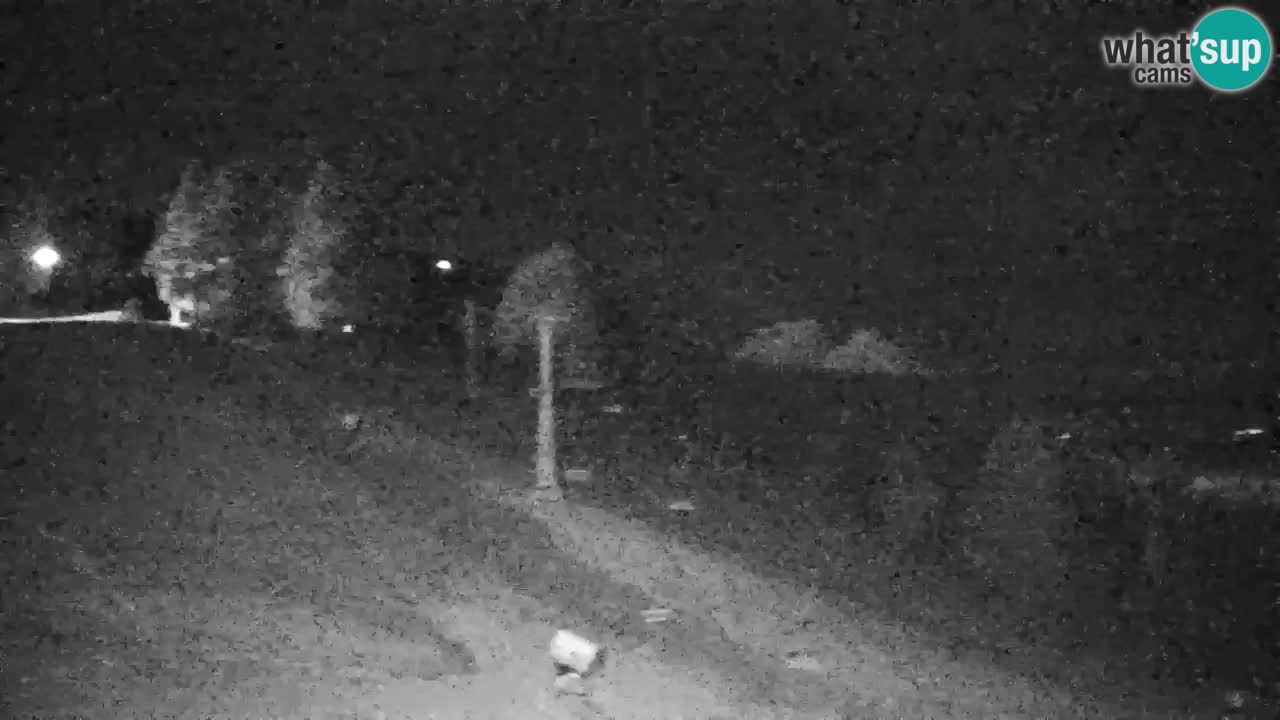 Pohorje Webcam | Sleme Talstation