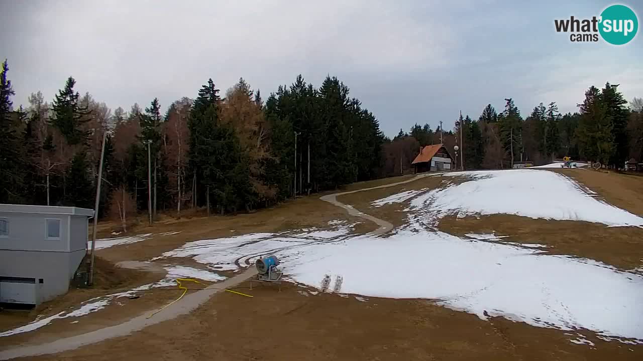 Webcam Pohorje | Station Sleme