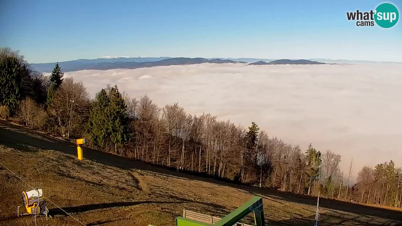 Webcam Pohorje | Station Sleme