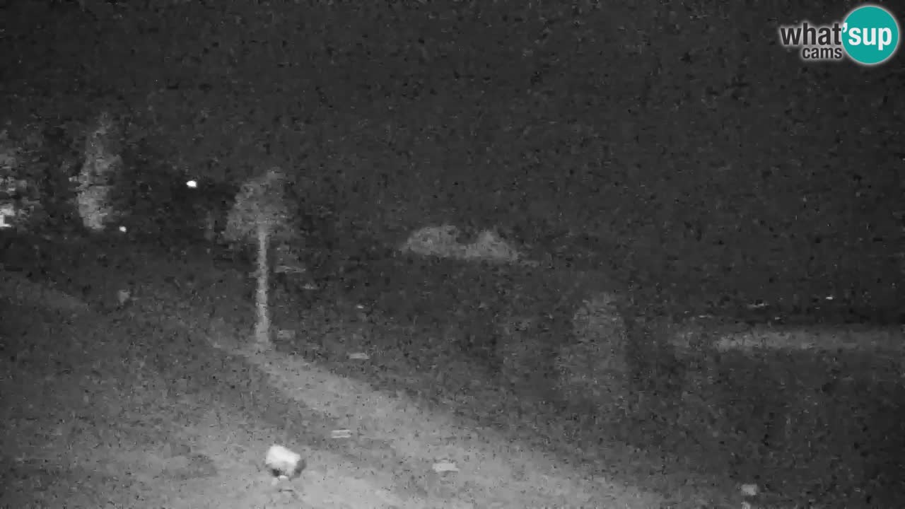 Webcam Pohorje | Estación Inferior de Sleme